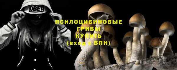 эйфоретик Сафоново