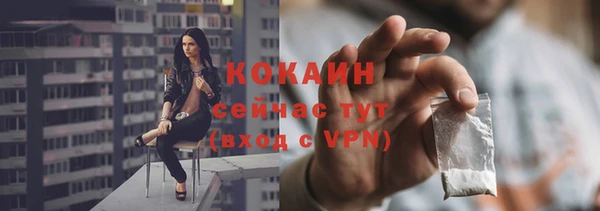 гашик Киселёвск