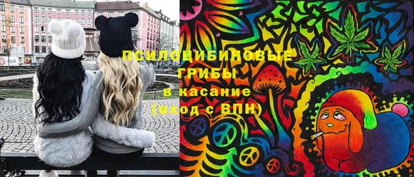 не бодяженный Кирсанов
