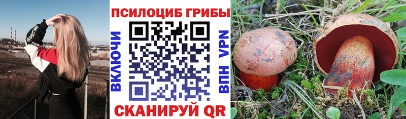 Псилоцибиновые грибы мицелий  наркотики  Судак 