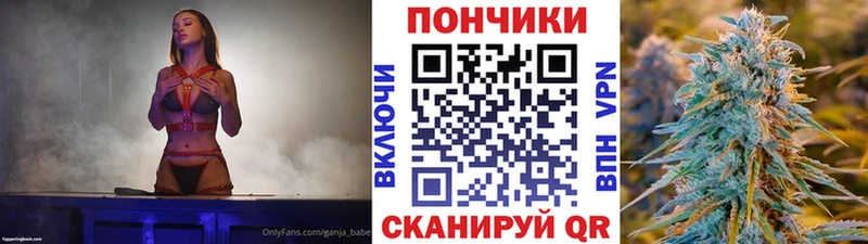Марихуана Bruce Banner  MEGA ССЫЛКА  Судак 